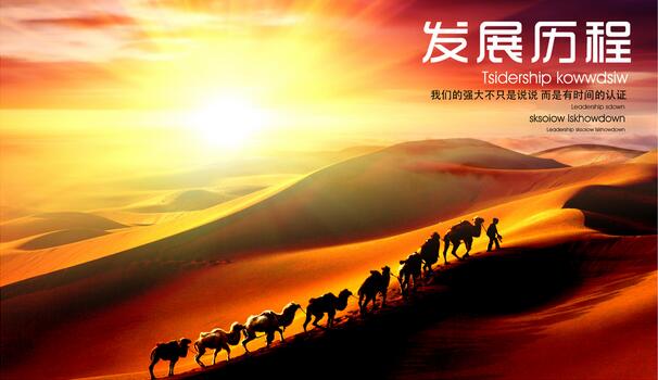 261500408800.jpg 2017.jpg