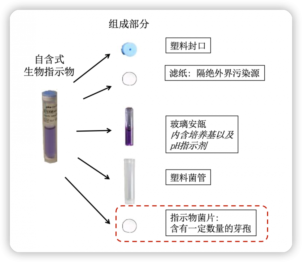 自含式生物指示劑結構.png 自含式生物指示劑結構.png